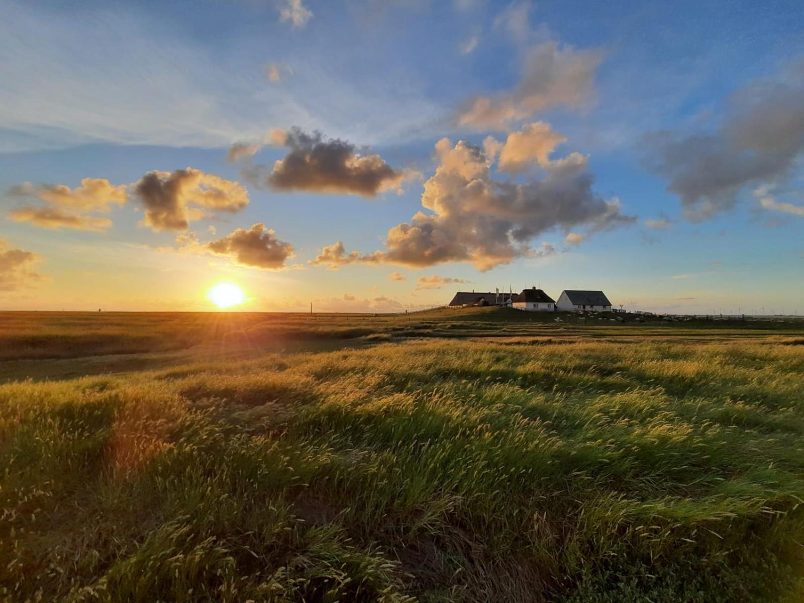 Nordsee Bauernhof Familie Wulff Fewo "Suedfall" Reußenköge Eksteriør bilde